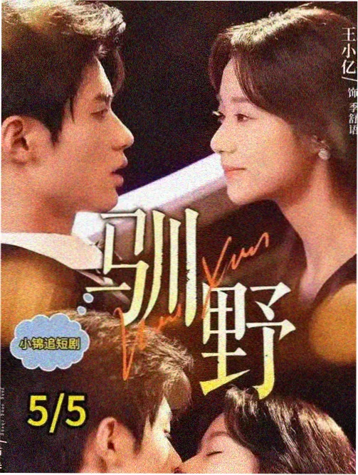 旧唱片行 治愈系剧集高清下载海报